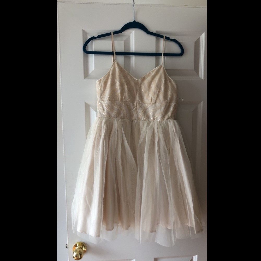 Windsor Sequin Cream Fit and Flair Dress